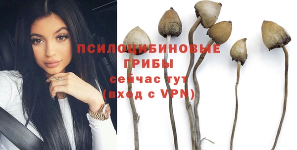 твердый Киренск