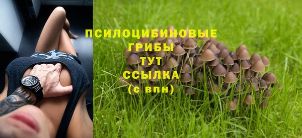 твердый Киренск