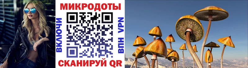 Купить  Каменногорск  Галлюциногенные грибы мухоморы 